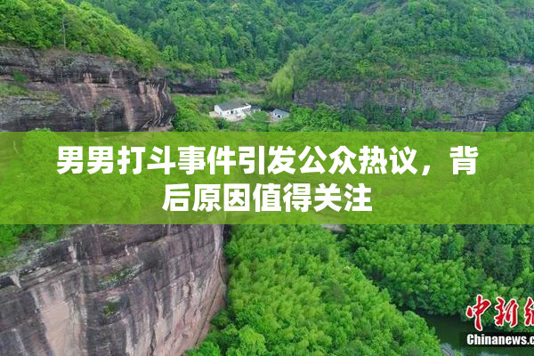 男男打斗事件引发公众热议，背后原因值得关注