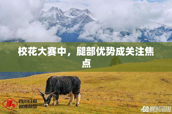 校花大赛中，腿部优势成关注焦点
