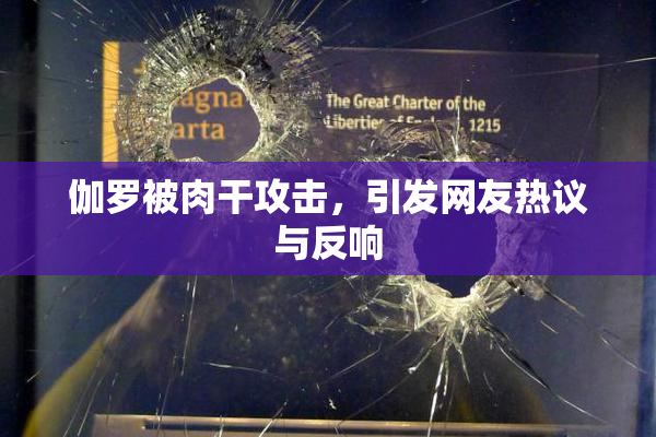 伽罗被肉干攻击，引发网友热议与反响