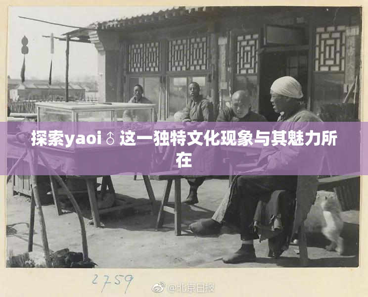 探索yaoi♂这一独特文化现象与其魅力所在