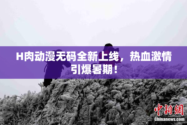 H肉动漫无码全新上线，热血激情引爆暑期！