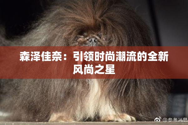 森泽佳奈：引领时尚潮流的全新风尚之星