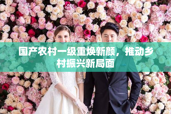 国产农村一级重焕新颜，推动乡村振兴新局面