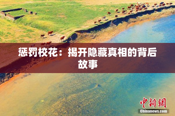 惩罚校花：揭开隐藏真相的背后故事