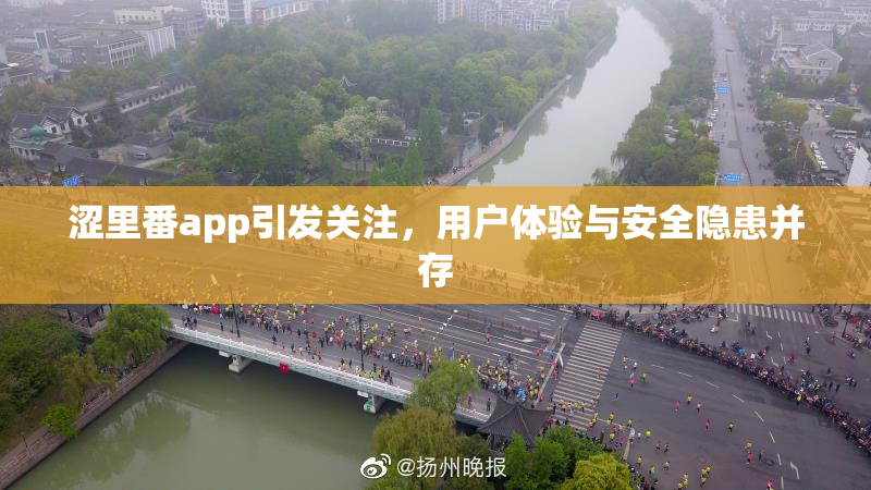 涩里番app引发关注，用户体验与安全隐患并存