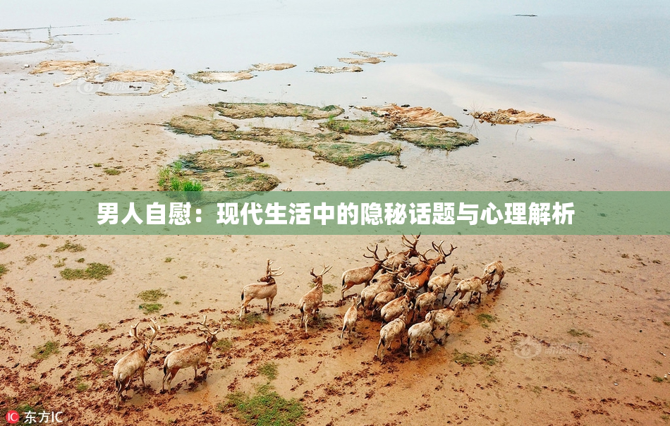 男人自慰：现代生活中的隐秘话题与心理解析