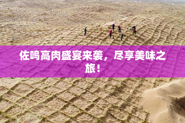 佐鸣高肉盛宴来袭，尽享美味之旅！