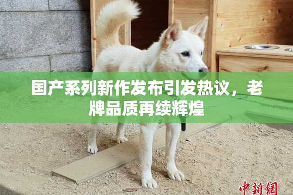 国产系列新作发布引发热议，老牌品质再续辉煌