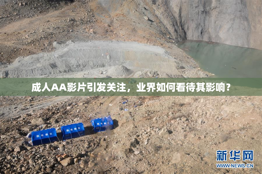 成人AA影片引发关注，业界如何看待其影响？