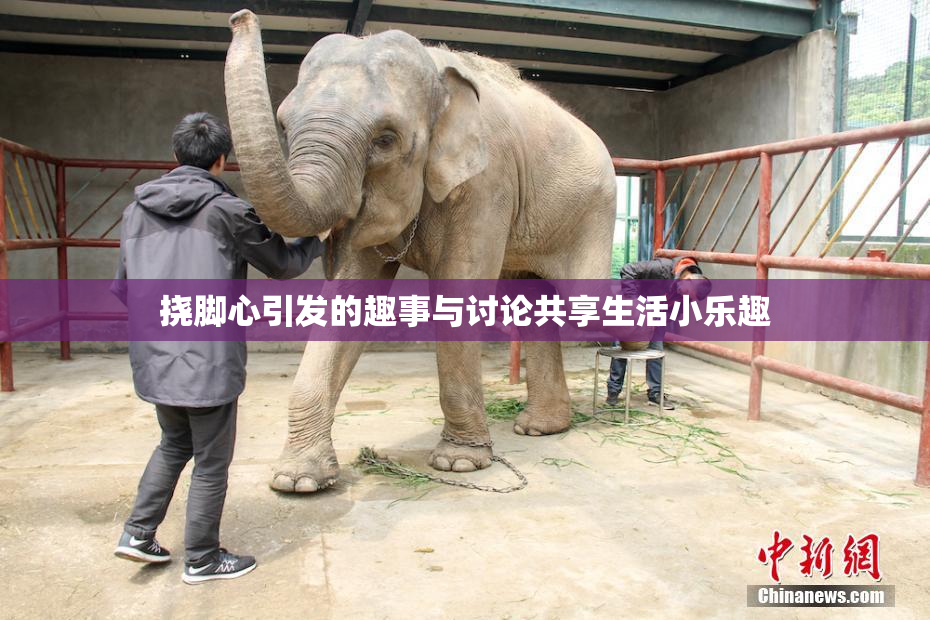 挠脚心引发的趣事与讨论共享生活小乐趣