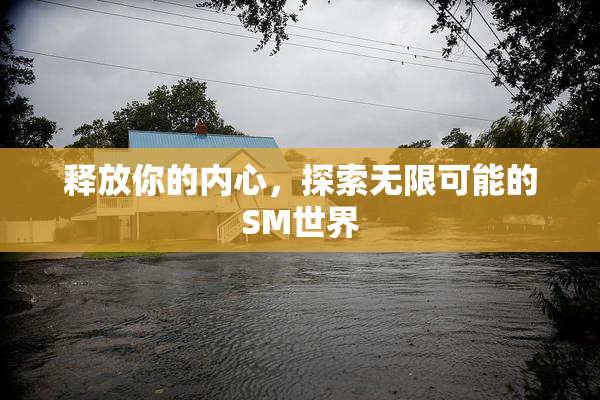 释放你的内心，探索无限可能的SM世界