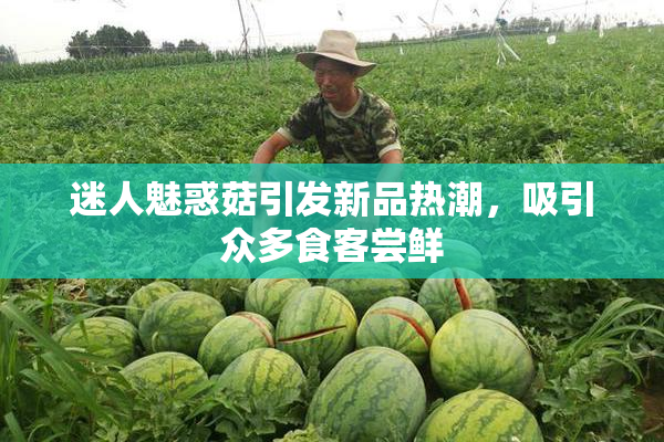 迷人魅惑菇引发新品热潮，吸引众多食客尝鲜