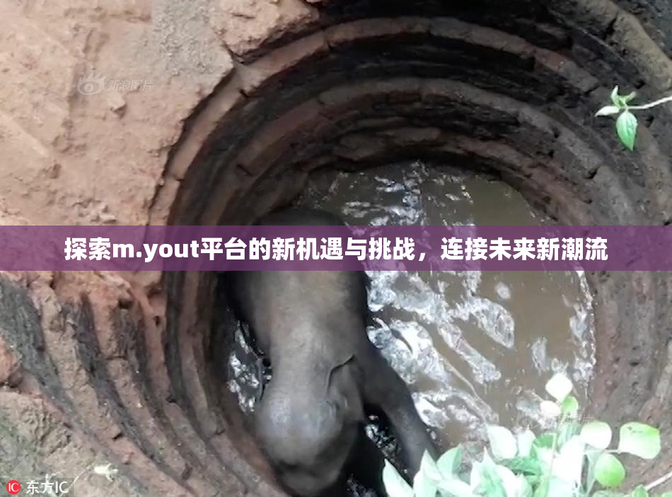探索m.yout平台的新机遇与挑战，连接未来新潮流