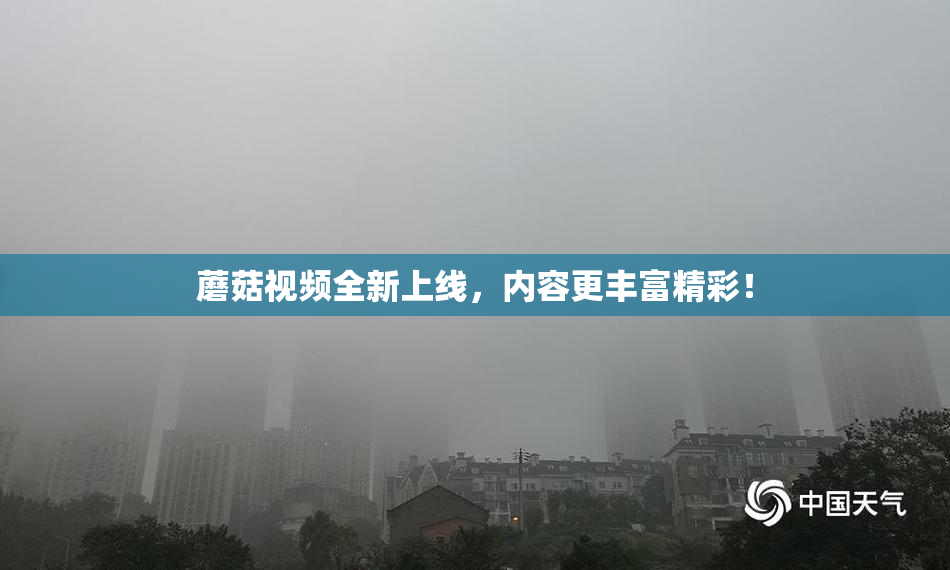 蘑菇视频全新上线，内容更丰富精彩！
