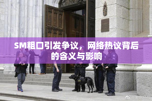 SM粗口引发争议，网络热议背后的含义与影响