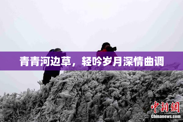 青青河边草，轻吟岁月深情曲调