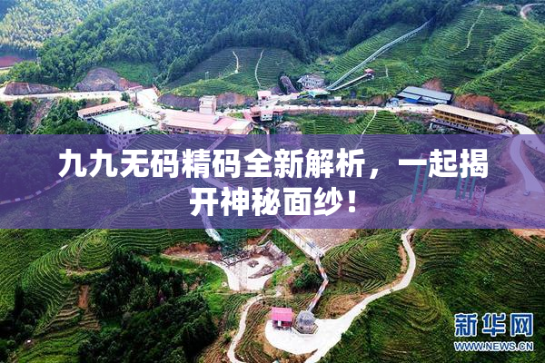 九九无码精码全新解析，一起揭开神秘面纱！