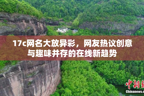 17c网名大放异彩，网友热议创意与趣味并存的在线新趋势