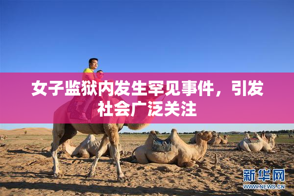 女子监狱内发生罕见事件，引发社会广泛关注