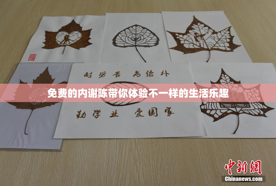免费的内谢陈带你体验不一样的生活乐趣