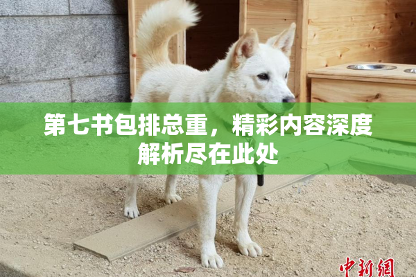 第七书包排总重，精彩内容深度解析尽在此处