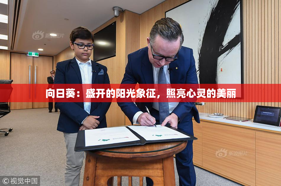 向日葵：盛开的阳光象征，照亮心灵的美丽