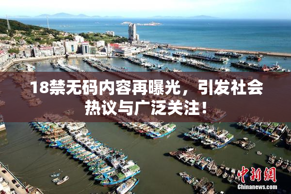 18禁无码内容再曝光，引发社会热议与广泛关注！