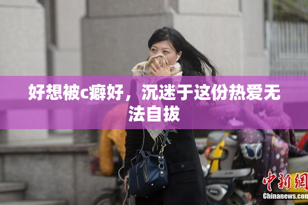 好想被c癖好，沉迷于这份热爱无法自拔