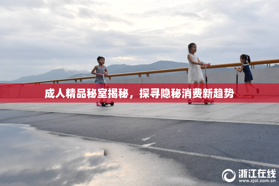 成人精品秘室揭秘，探寻隐秘消费新趋势