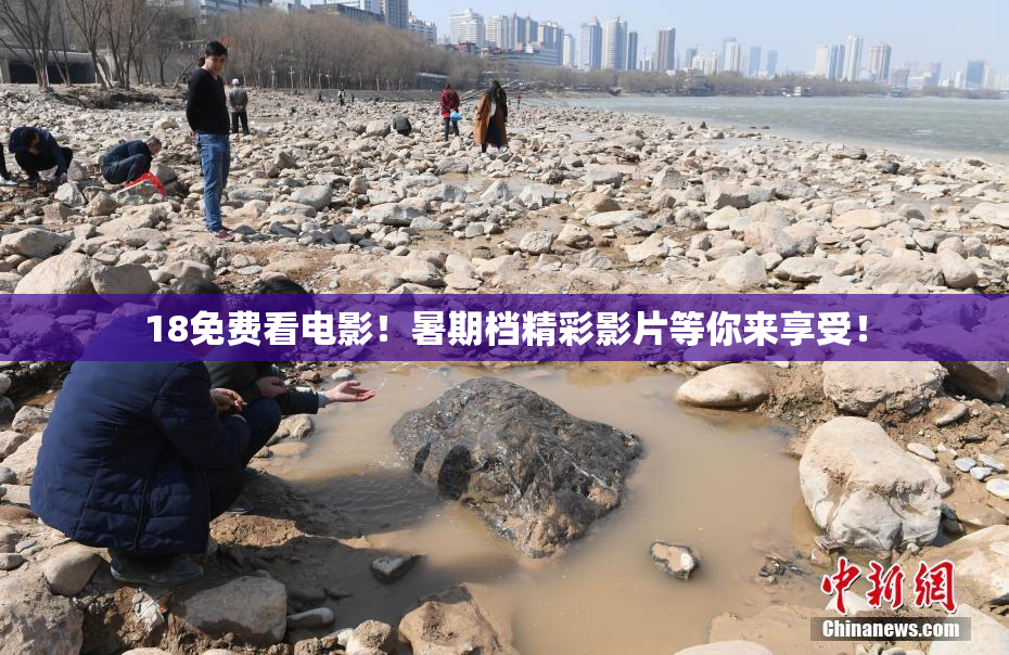 18免费看电影！暑期档精彩影片等你来享受！