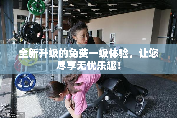 全新升级的免费一级体验，让您尽享无忧乐趣！