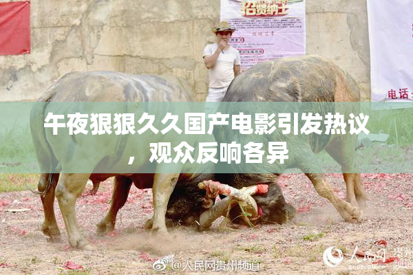 午夜狠狠久久国产电影引发热议，观众反响各异