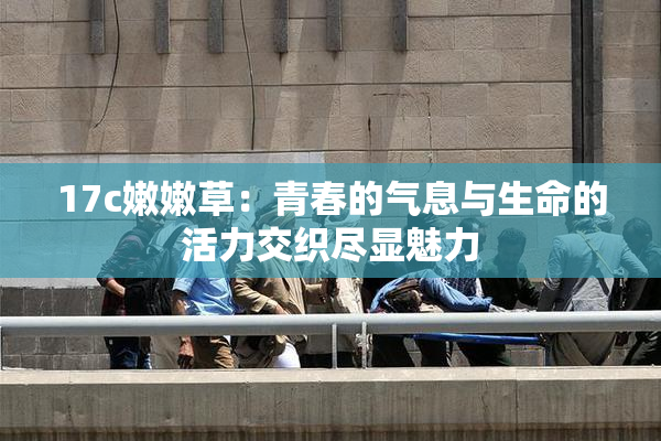 17c嫩嫩草：青春的气息与生命的活力交织尽显魅力