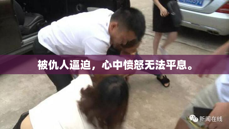被仇人逼迫，心中愤怒无法平息。