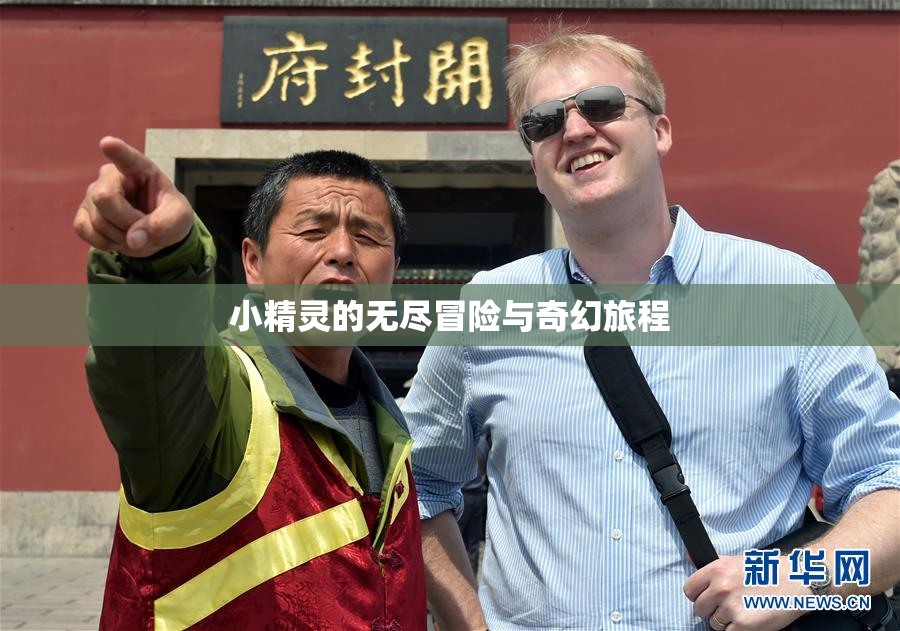 小精灵的无尽冒险与奇幻旅程
