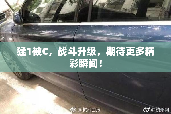 猛1被C，战斗升级，期待更多精彩瞬间！