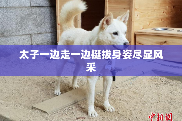 太子一边走一边挺拔身姿尽显风采