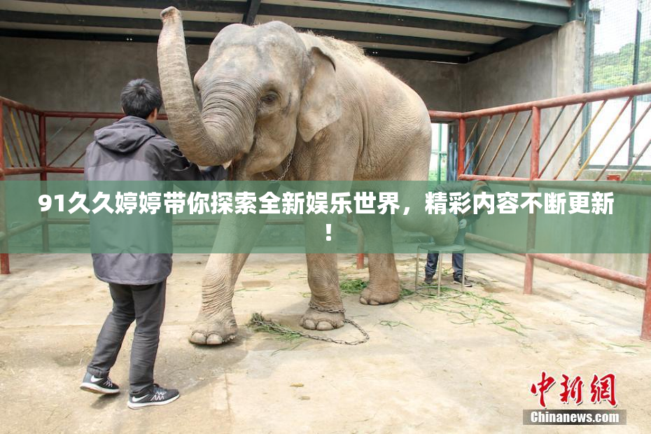 91久久婷婷带你探索全新娱乐世界，精彩内容不断更新！