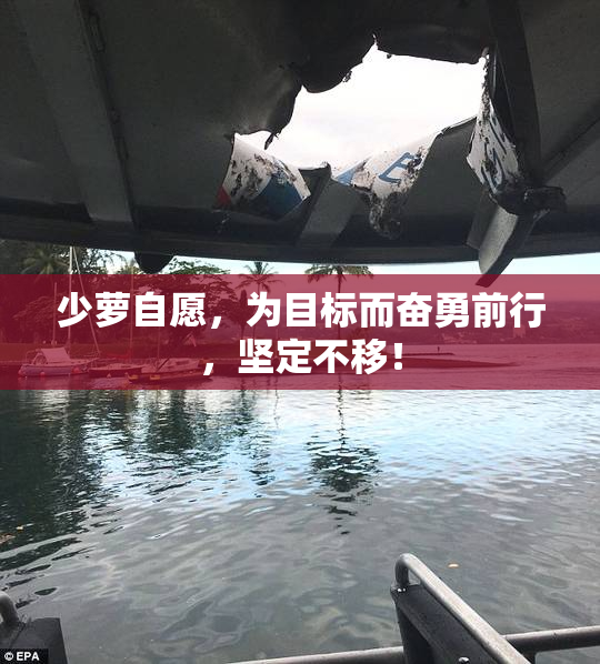 少萝自愿，为目标而奋勇前行，坚定不移！