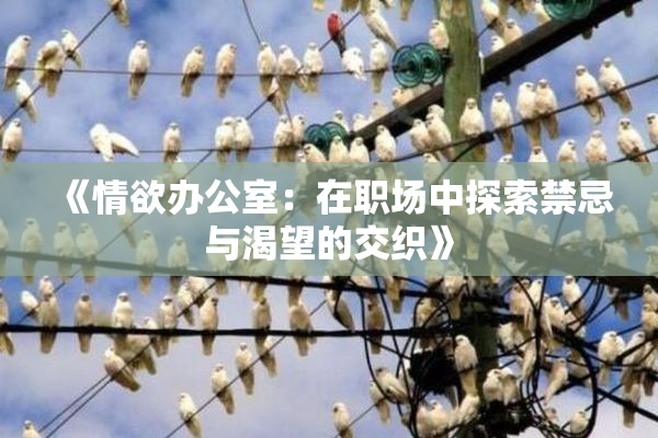 《情欲办公室：在职场中探索禁忌与渴望的交织》