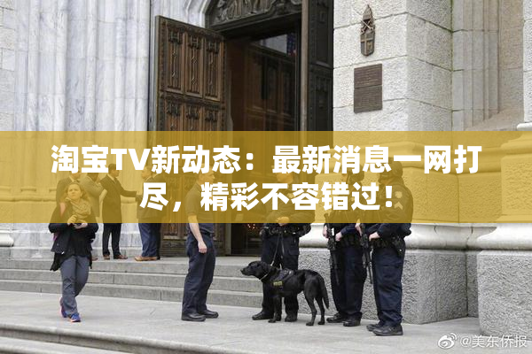 淘宝TV新动态：最新消息一网打尽，精彩不容错过！
