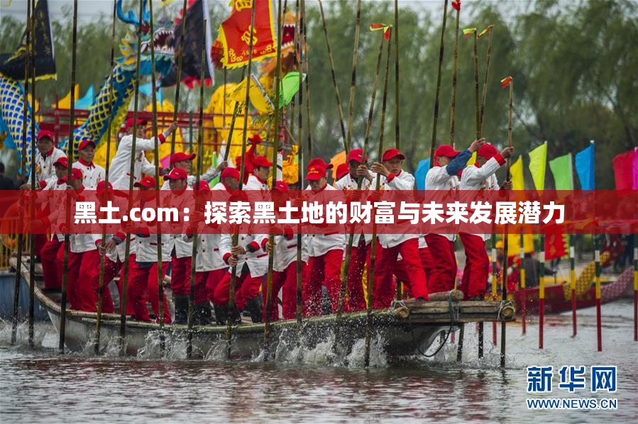 黑土.com：探索黑土地的财富与未来发展潜力