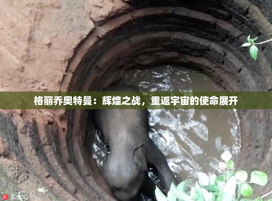 格丽乔奥特曼：辉煌之战，重返宇宙的使命展开