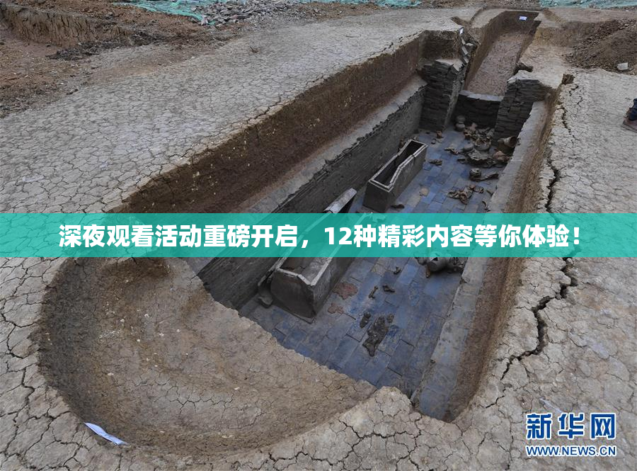 深夜观看活动重磅开启，12种精彩内容等你体验！