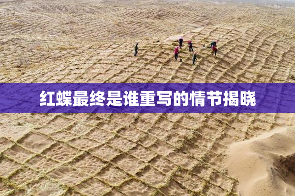 红蝶最终是谁重写的情节揭晓