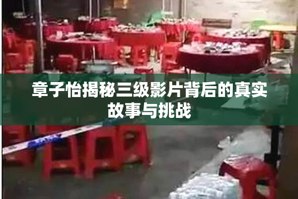 章子怡揭秘三级影片背后的真实故事与挑战