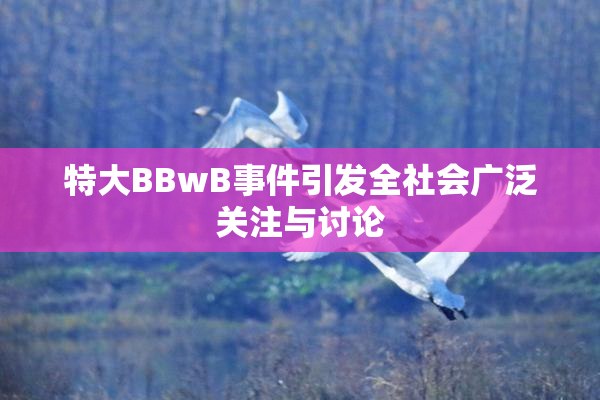 特大BBwB事件引发全社会广泛关注与讨论