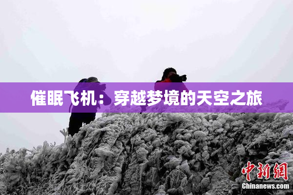 催眠飞机：穿越梦境的天空之旅