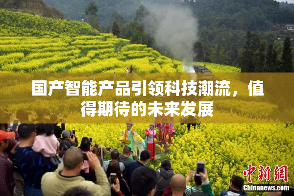 国产智能产品引领科技潮流，值得期待的未来发展