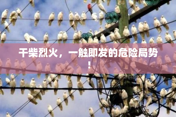 干柴烈火，一触即发的危险局势！